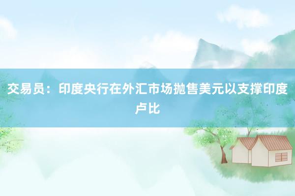 交易员：印度央行在外汇市场抛售美元以支撑印度卢比