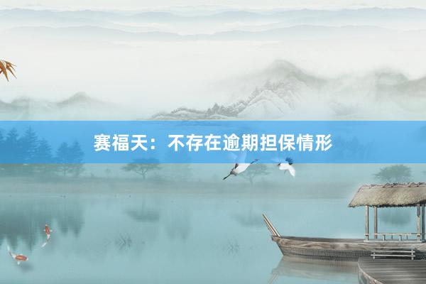 赛福天：不存在逾期担保情形