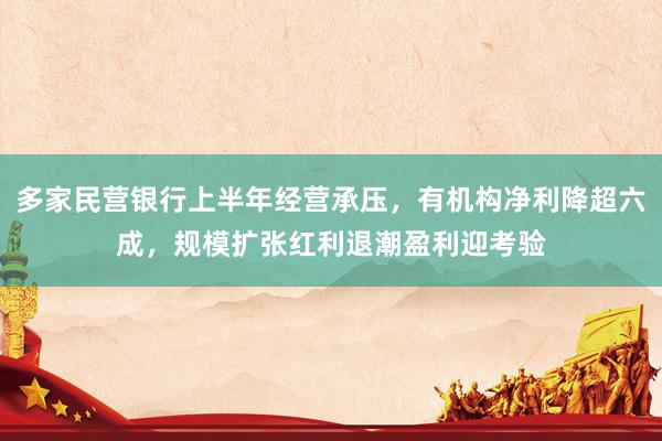 多家民营银行上半年经营承压，有机构净利降超六成，规模扩张红利退潮盈利迎考验