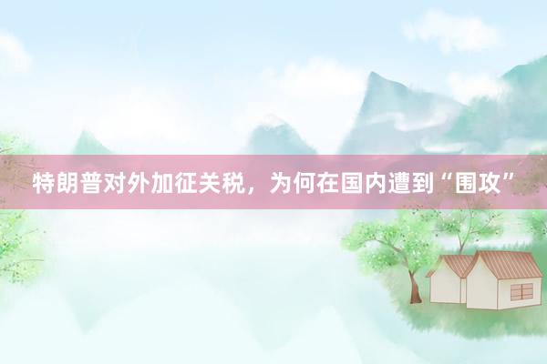 特朗普对外加征关税，为何在国内遭到“围攻”