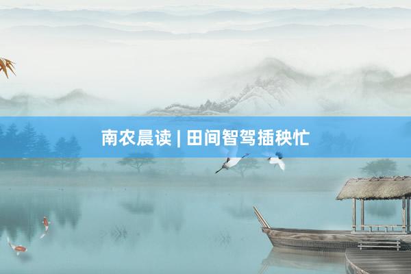 南农晨读 | 田间智驾插秧忙