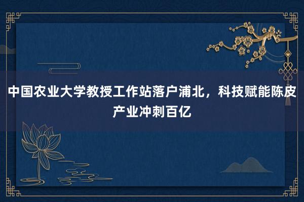 中国农业大学教授工作站落户浦北，科技赋能陈皮产业冲刺百亿