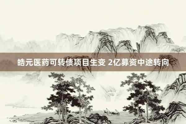 皓元医药可转债项目生变 2亿募资中途转向
