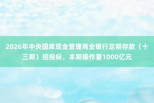 2026年中央国库现金管理商业银行定期存款（十三期）招投标，本期操作量1000亿元