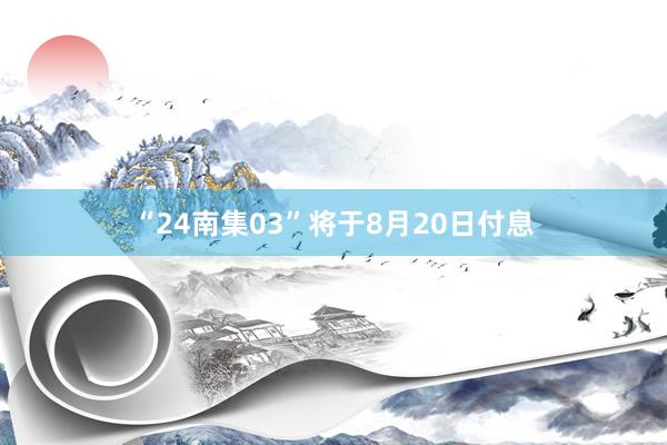 “24南集03”将于8月20日付息