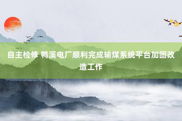 自主检修 鸭溪电厂顺利完成输煤系统平台加固改造工作