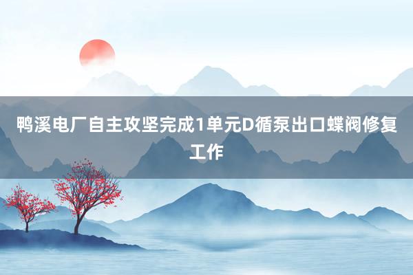 鸭溪电厂自主攻坚完成1单元D循泵出口蝶阀修复工作