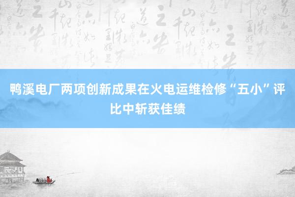鸭溪电厂两项创新成果在火电运维检修“五小”评比中斩获佳绩