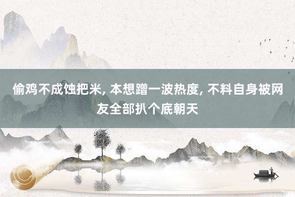 偷鸡不成蚀把米, 本想蹭一波热度, 不料自身被网友全部扒个底朝天