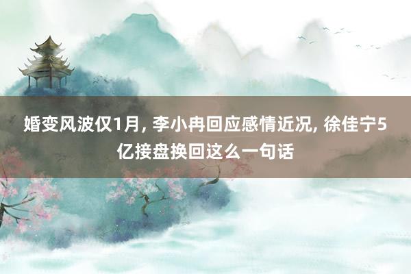 婚变风波仅1月, 李小冉回应感情近况, 徐佳宁5亿接盘换回这么一句话