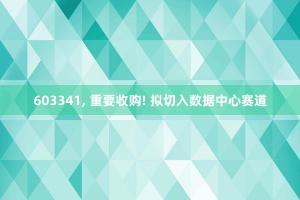 603341, 重要收购! 拟切入数据中心赛道