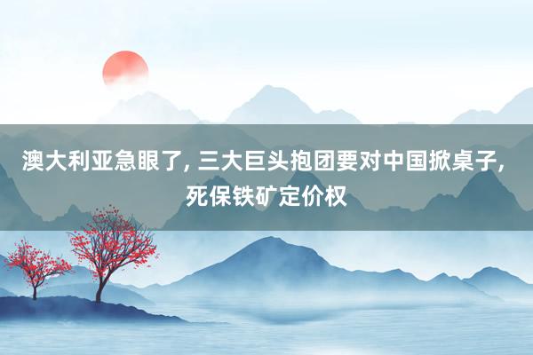 澳大利亚急眼了, 三大巨头抱团要对中国掀桌子, 死保铁矿定价权