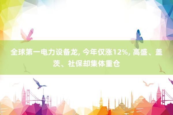 全球第一电力设备龙, 今年仅涨12%, 高盛、盖茨、社保却集体重仓