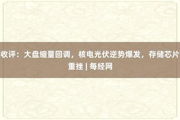 收评：大盘缩量回调，核电光伏逆势爆发，存储芯片重挫 | 每经网
