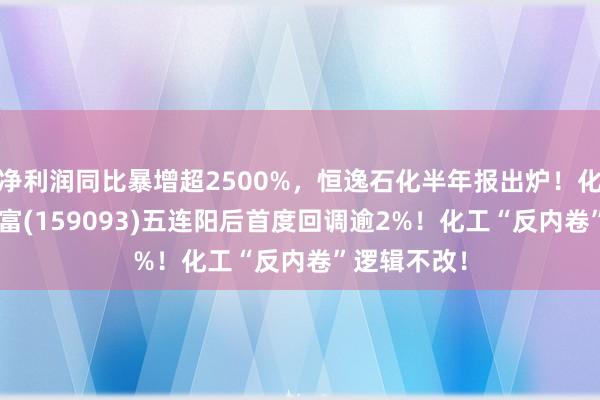 净利润同比暴增超2500%，恒逸石化半年报出炉！化工ETF汇添富(159093)五连阳后首度回调逾2%！化工“反内卷”逻辑不改！