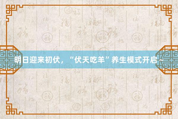 明日迎来初伏，“伏天吃羊”养生模式开启～