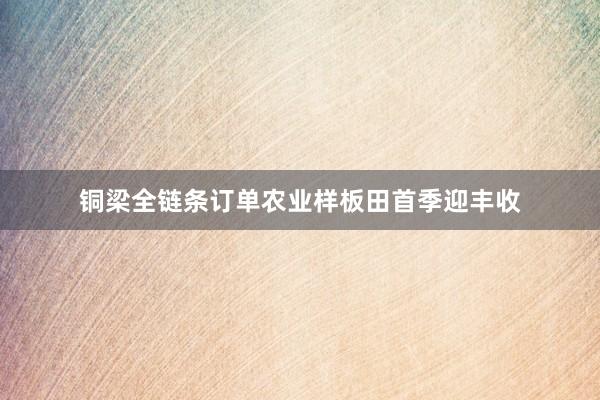 铜梁全链条订单农业样板田首季迎丰收