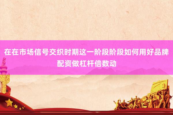 在在市场信号交织时期这一阶段阶段如何用好品牌配资做杠杆倍数动