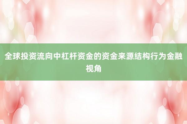 全球投资流向中杠杆资金的资金来源结构行为金融视角