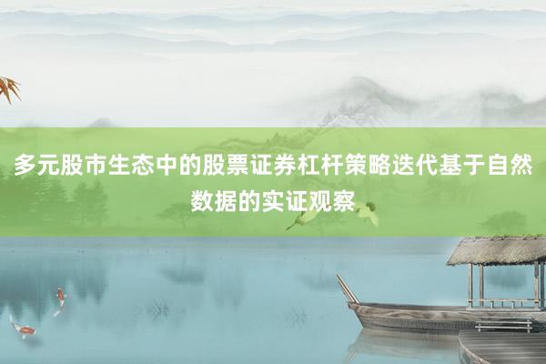 多元股市生态中的股票证券杠杆策略迭代基于自然数据的实证观察