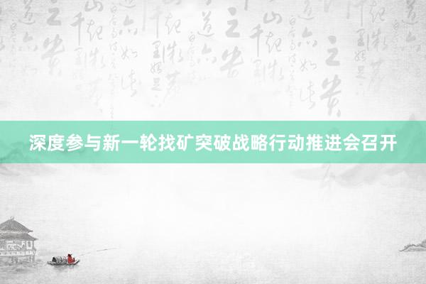 深度参与新一轮找矿突破战略行动推进会召开