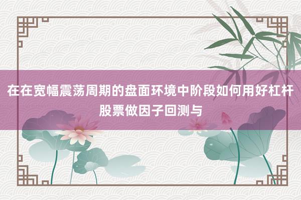 在在宽幅震荡周期的盘面环境中阶段如何用好杠杆股票做因子回测与