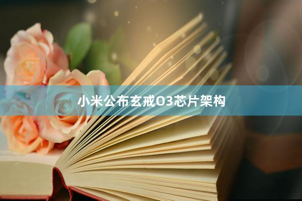 小米公布玄戒O3芯片架构