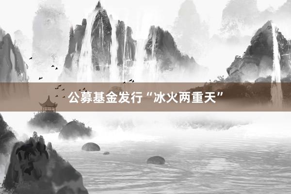 公募基金发行“冰火两重天”