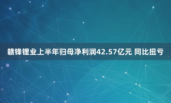 赣锋锂业上半年归母净利润42.57亿元 同比扭亏