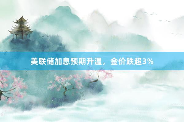 美联储加息预期升温，金价跌超3%