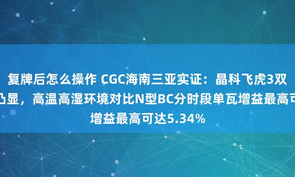 复牌后怎么操作 CGC海南三亚实证：晶科飞虎3双面率优势凸显，高温高湿环境对比N型BC分时段单瓦增益最高可达5.34%