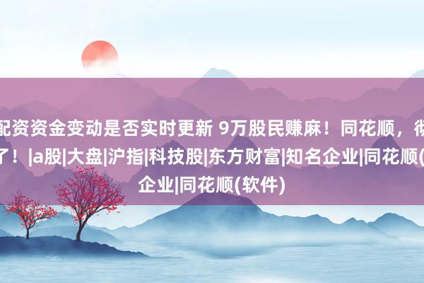 配资资金变动是否实时更新 9万股民赚麻！同花顺，彻底爆了！|a股|大盘|沪指|科技股|东方财富|知名企业|同花顺(软件)