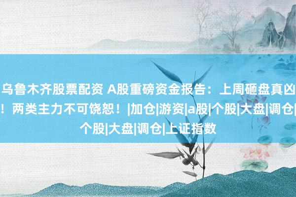 乌鲁木齐股票配资 A股重磅资金报告：上周砸盘真凶浮出水面！两类主力不可饶恕！|加仓|游资|a股|个股|大盘|调仓|上证指数