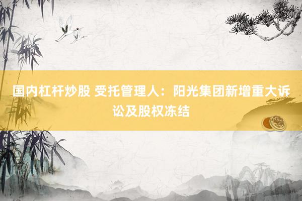 国内杠杆炒股 受托管理人：阳光集团新增重大诉讼及股权冻结
