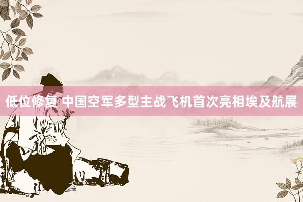 低位修复 中国空军多型主战飞机首次亮相埃及航展