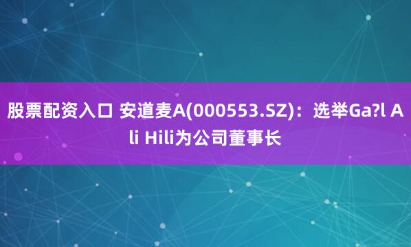 股票配资入口 安道麦A(000553.SZ)：选举Ga?l Ali Hili为公司董事长