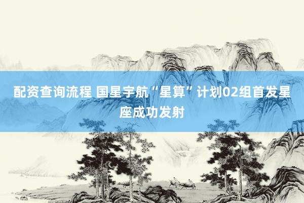 配资查询流程 国星宇航“星算”计划02组首发星座成功发射
